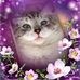 Norma Bowen - Facebook