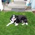 Norma Bowles - Facebook
