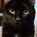 Norma Bowles - Facebook