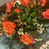 Norma Briones - @normabriones01 - TikTok