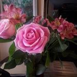 Norma Briones - @briones5808 - Instagram