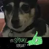 Norma Bundy - @normabundy - TikTok