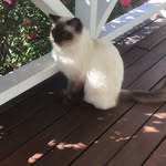 Norma Byrne - @normiebyrne - Instagram