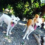Norma Cacho - @gronch_28 - Instagram