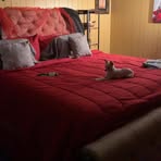 Norma Calloway - Facebook