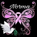 Norma Camarena - @normaelena.rodriguezcamarena - Instagram
