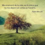 Norma Camarena - Facebook