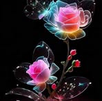 Norma Camarena Echaury - Facebook