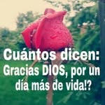 norma capote - @ernestinavargas23 - Instagram