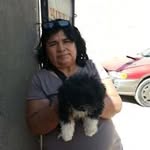 Norma Carballo - @normacarballo5 - Instagram