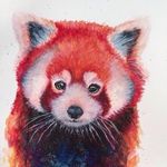 NormaCarey - @normacarey610 - Instagram