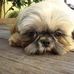 Norma Carson - Facebook