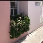 Norma Casas - Facebook