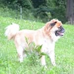 Norma Caudill - @normacaudill - Instagram