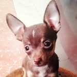Norma Caudillo - @norma.caudillo.906 - Instagram