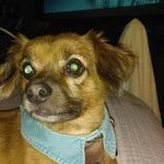Norma Gaines Cavanaugh - @norma.cavanaugh.3 - Instagram