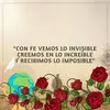 Norma Ceja - @normaceja0 - TikTok