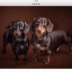 Norma Chalmers - Facebook
