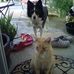 Norma Kersey Clayton - Facebook