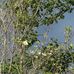 Norma Medford Clayton - Facebook