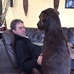 Norman Conley - @normanconley - Instagram