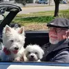normanconley - @normanconley - TikTok