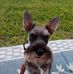 Norma Conrad - Facebook
