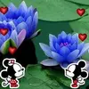 Norma Corrales - @norma.corrales39 - TikTok