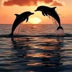 Norma Cortes - Facebook