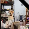 Norma A.Cota - @norma.a.cota - TikTok