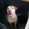 Norma Cota - @norma.cota08 - TikTok