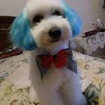 Norma Cota - @normacota6 - Instagram