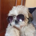 Norma O Connell Cotter - @norma_occ - Instagram
