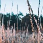 Normandy Covington - @normandycovington - Instagram