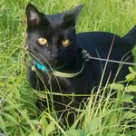Norma Croft - @evander.eventure.cat - Instagram