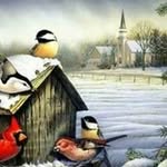 Norma Crouse - @crousenorma - Instagram