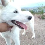 Norma Lopez Curiel - @lopezc.nl37 - Instagram