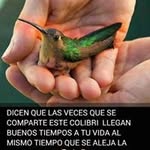 Norma Dalessandro - @norma.dalessandro.54 - Instagram