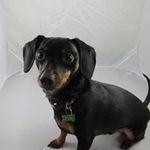 Norma Dalton - @ndalton50 - Instagram