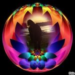Norma Decker - @normadecker - Instagram