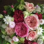 Norma Delarosa - Facebook