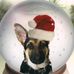Norma Delong - Facebook