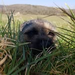 Norman Denner - @denner.norman - Instagram