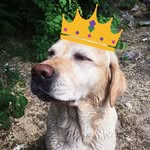 Medeia Norma-Life Pure Diamond - @medeia.official - Instagram