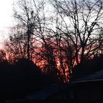Norma Andrews Dickey - @norma_dickey_357 - Instagram