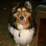@normadickson1966 - Instagram