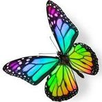 Norma Dill - Facebook