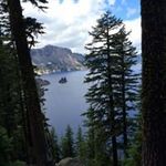 Norma Diller - @norma_diller - Instagram