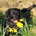Norma Dobson - Facebook