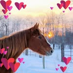 Norma Jean Donley - @normasandy13 - Instagram